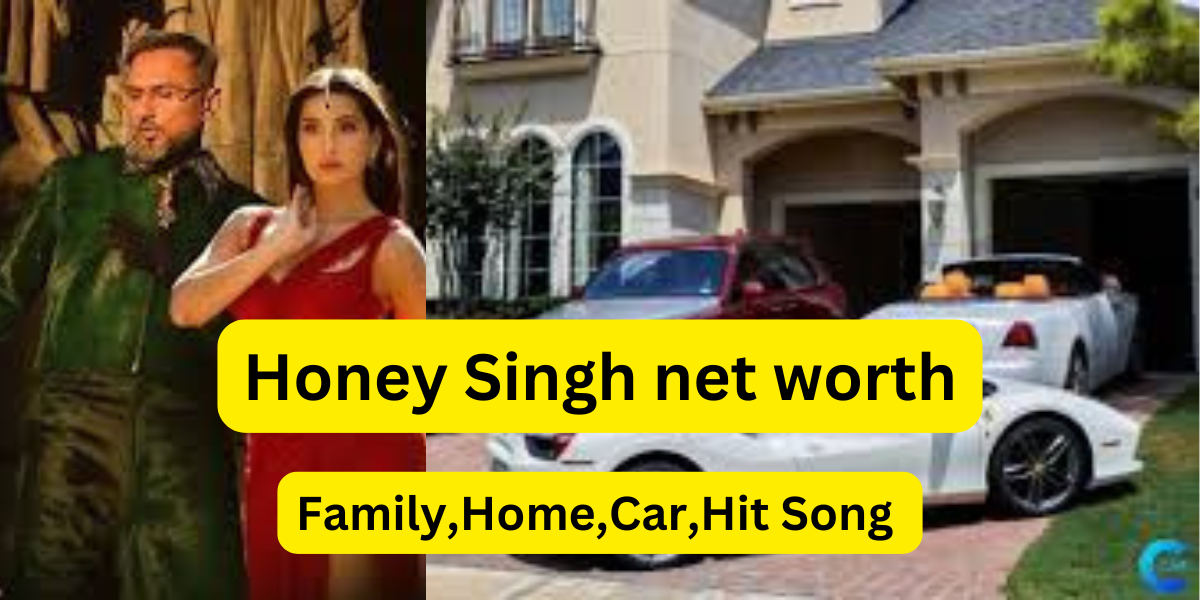 Honey Singh net worth