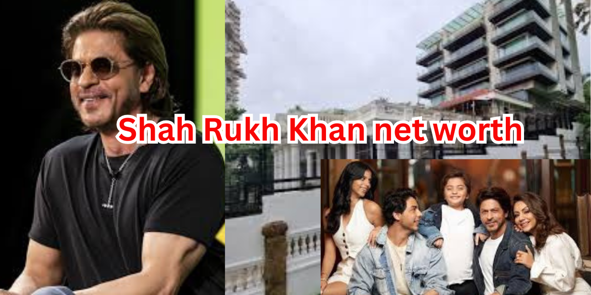 Shah Rukh Khan net worth